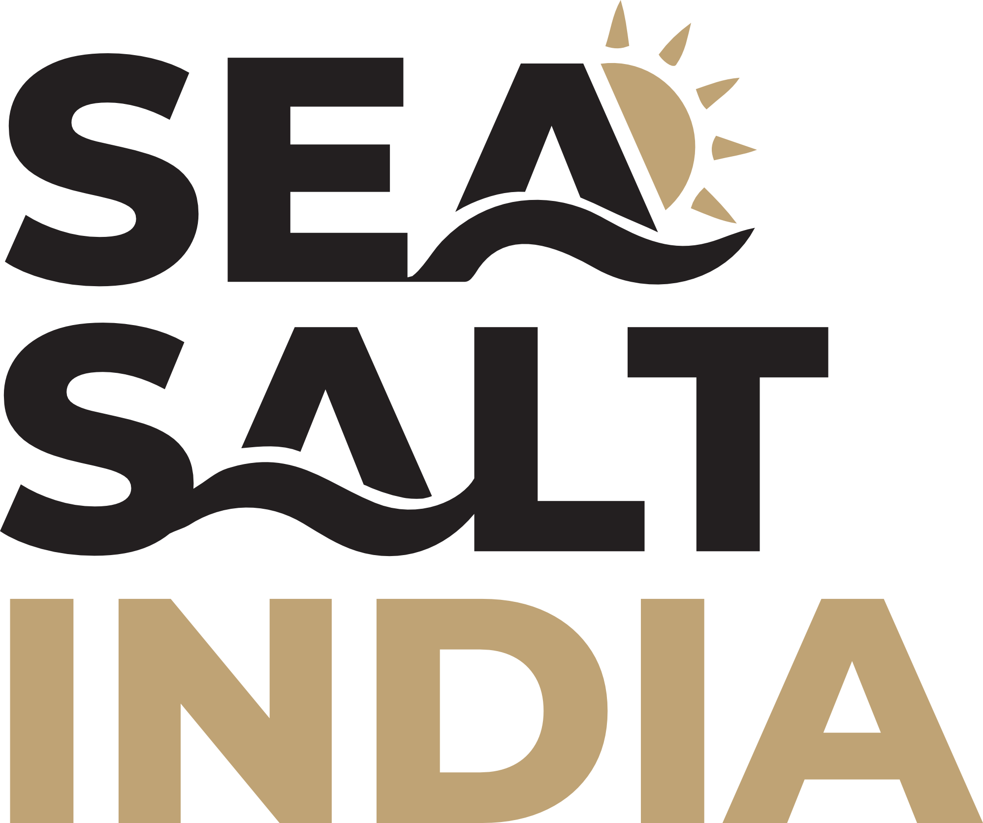 Sea Salt India