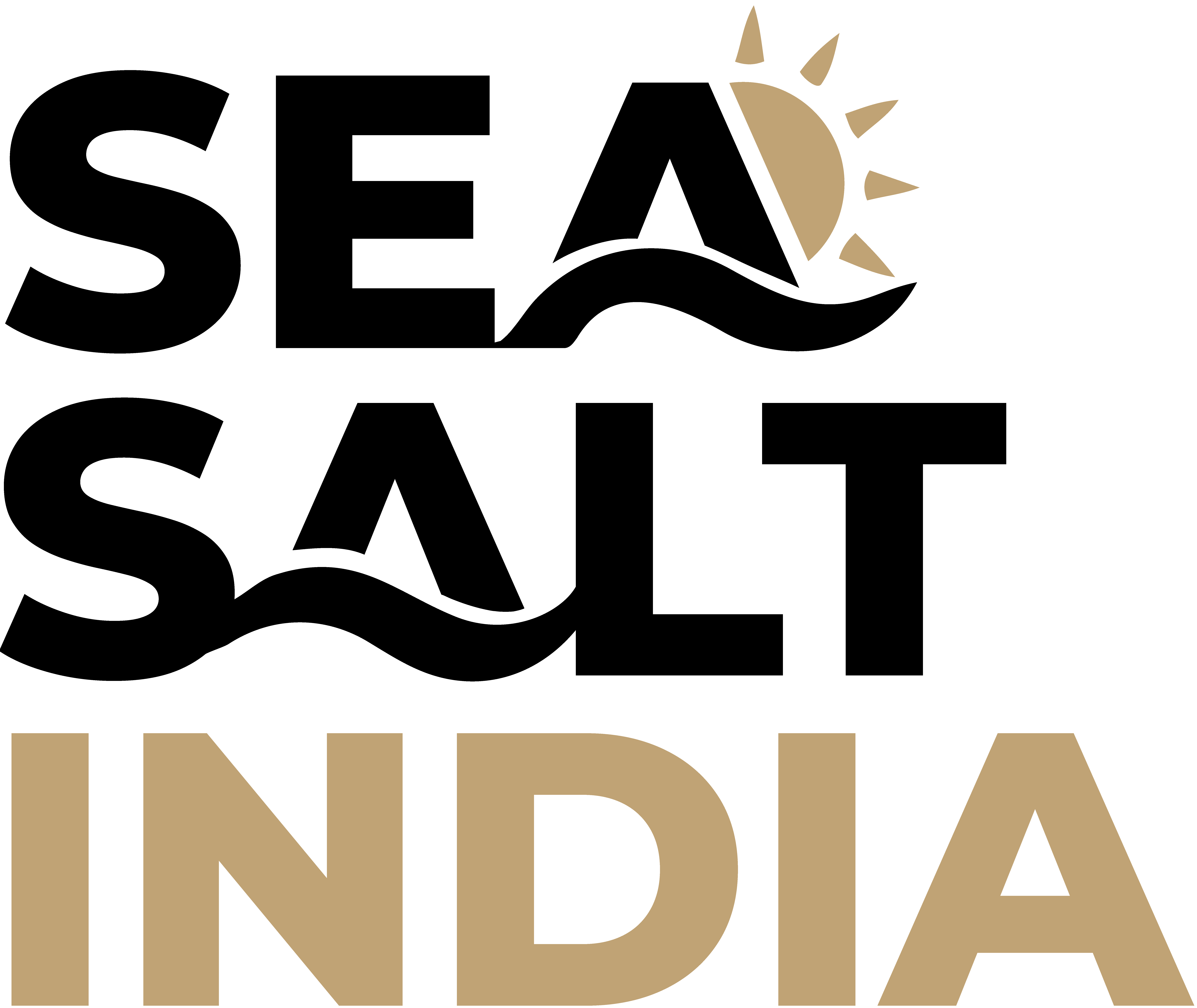 Sea Salt India